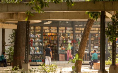 একটি পার্ক, কিছু পাঠক যেখানে শব্দেরা হাঁটে ঘাসের ভেতর: তরুণ হাতে পাবলিক স্পেসের নান্দনিকতা 