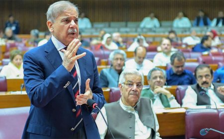 ভারতকে দাঁতভাঙা জবাব দেওয়া হয়েছে, দাবি শেহবাজের