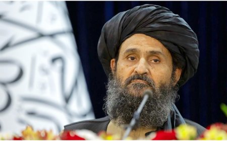 ভারত-পাকিস্তানকে সতর্ক করল আফগানিস্তান