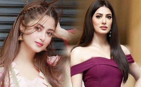 পাকিস্তানি সিনেমা নিয়ে ভারতের কঠোর সিদ্ধান্ত