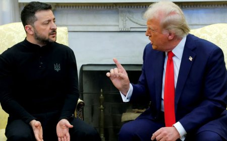 আলোচনার জন্য পুতিনের সঙ্গে বসা উচিত, জেলেনস্কিকে : ট্রাম্প