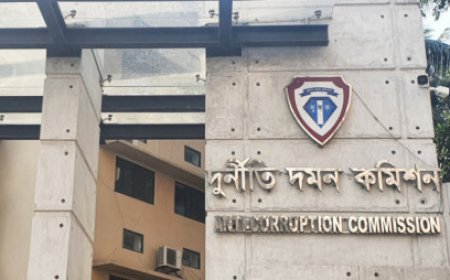 নর্দার্ন ও শান্ত মরিয়ম বিশ্ববিদ্যালয়ের বিরুদ্ধে অর্থ আত্মসাৎ ও রাজস্ব ফাঁকির অভিযোগ দুদকের