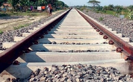 রাজবাড়ীতে ট্রেনে কাটা পড়ে যুব‌ক নিহত 