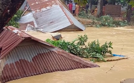 শেরপুরে নদীর পানি বিপৎসীমার ওপরে