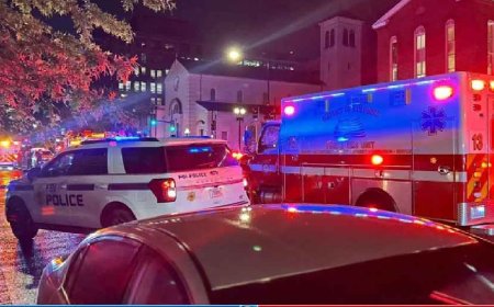 ওয়াশিংটনে ই/স/রা/য়ে/লি দূতাবাসের দুই কর্মীকে হ/ত্যা