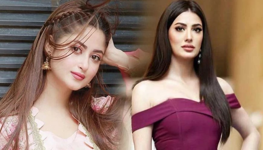 পাকিস্তানি সিনেমা নিয়ে ভারতের কঠোর সিদ্ধান্ত