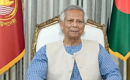 দেশে ফিরেছেন প্রধান উপদেষ্টা