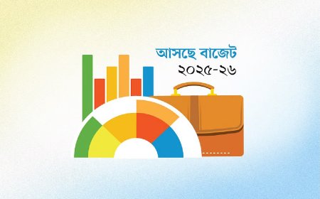 বাজেট ডকুমেন্টস দেখা যাবে অর্থ বিভাগের ওয়েবসাইটে 