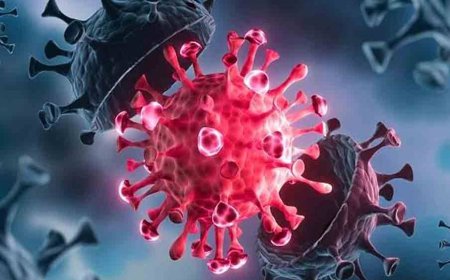 করোনায় আক্রান্তের হার বাড়ল