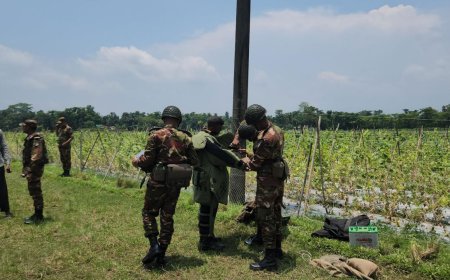 মরিচক্ষেতে মিলল গ্রেনেড, নিষ্ক্রিয় করল সেনাবাহিনী