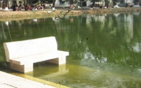 ইডেন কলেজের পুকুর থেকে শিক্ষার্থীর মরদেহ উদ্ধার