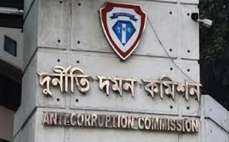 দুদকের দৃষ্টিতে টিউলিপ অভিযুক্ত