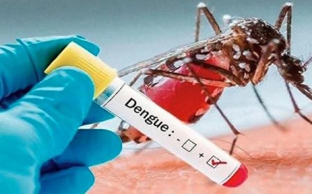 ডেঙ্গুতে একজনের মৃত্যু