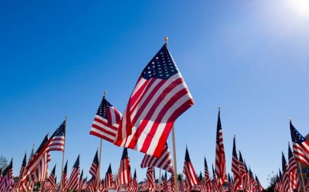 যুক্তরাষ্ট্র স্বাধীনতার ২৪৯তম বছর