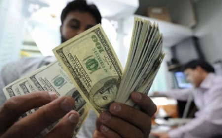 এবার ২২ ব্যাংক থেকে আরও ৩১৩ মিলিয়ন ডলার কিনলো কেন্দ্রীয় ব্যাংক