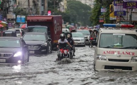 টানা বৃষ্টিতে পরিচ্ছন্নতা