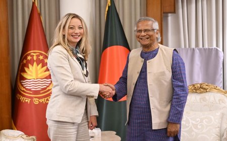 বাংলাদেশে স্টারলিংক চালু