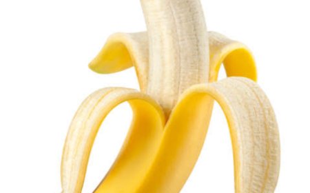 যে ফলে  কখনো পোকা হয়না।