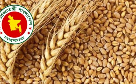 যুক্তরাষ্ট্র থেকে গম কিনবে বাংলাদেশ