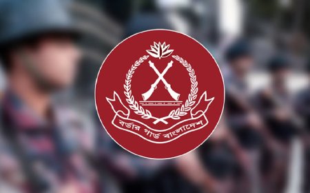 সিলেট ও সুনামগঞ্জ সীমান্তে চোরাইপণ্য জব্দ