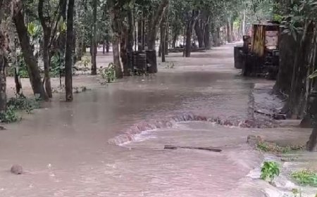 বাউফলে পানিবন্দি ২০ গ্রামের মানুষ