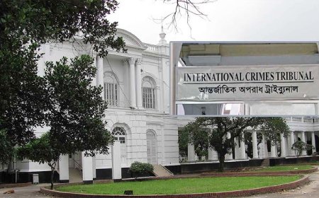 আবু সাঈদ হত্যা:৬ আসামি ট্রাইব্যুনালে হাজির