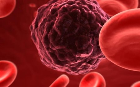 বিশ্বজুড়ে দ্বিগুণ হতে পারে লিভার ক্যান্সার: গবেষণা