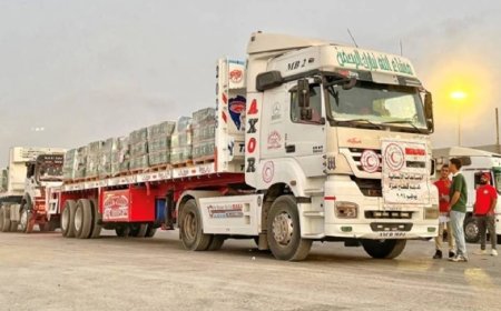 সৌদির সহায়তা গেল গাজায় 