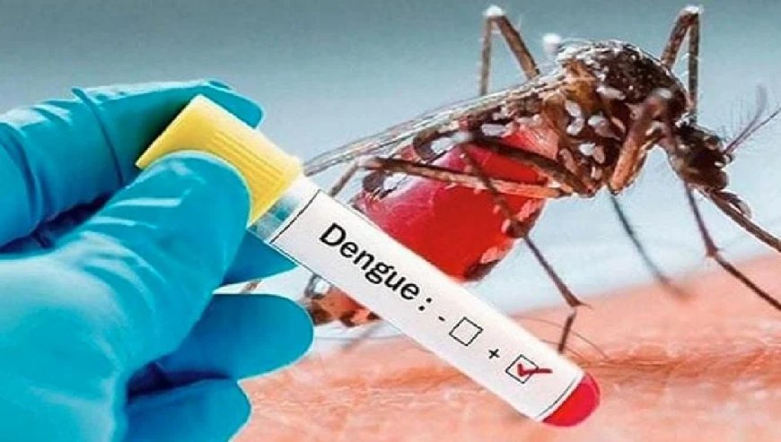 ডেঙ্গুতে একজনের মৃত্যু