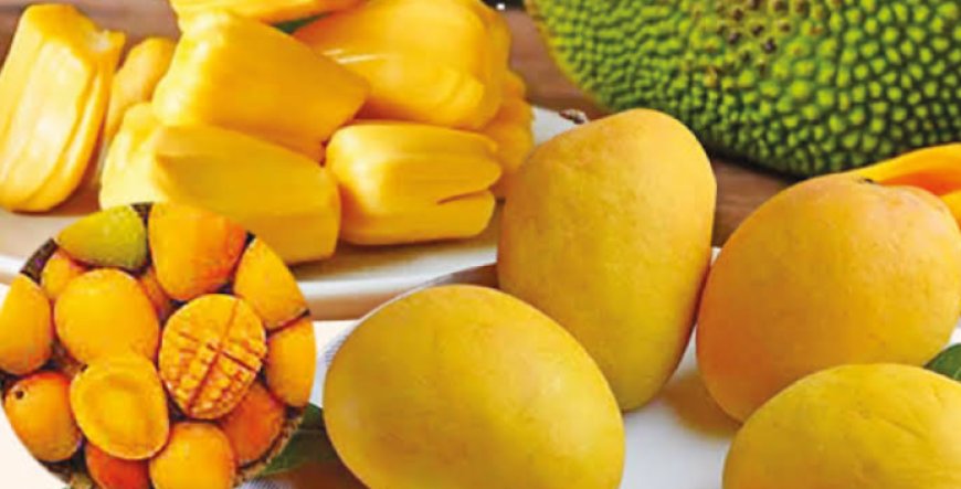 ডায়াবেটিস রোগীদের জন্য আম,কাঁঠাল