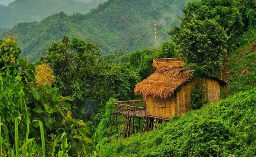 লামার পর্যটনকেন্দ্র খুলে দেওয়া হয়েছে  