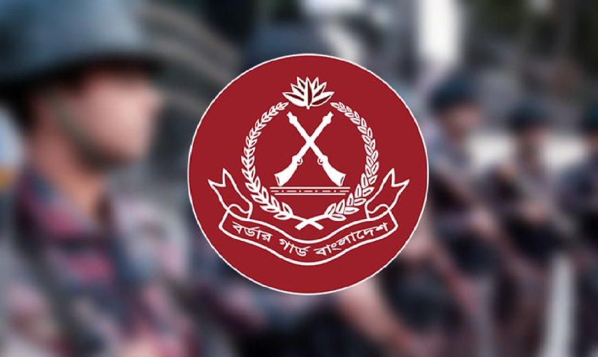 সিলেট ও সুনামগঞ্জ সীমান্তে চোরাইপণ্য জব্দ