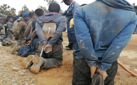 দক্ষিণ আফ্রিকায় ১,০০০ অবৈধ খনি শ্রমিক গ্রেপ্তার