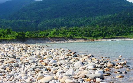 পাথর লুটের ঘটনায় হাইকোর্টের রিট