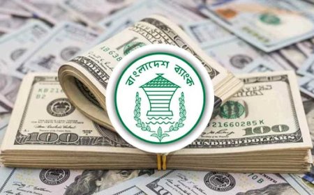 ১২ দিনে এলো ১ বিলিয়ন ডলার রেমিট্যান্স 