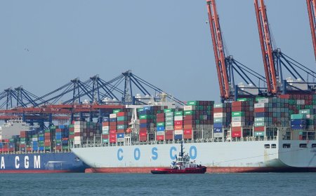 নতুন দুই জাহাজ থেকে ১৫০ কোটি টাকা আয়ের সম্ভাবনা, আরো তিনটি কেনার পরিকল্পনা বিএসসির