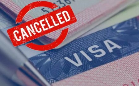 ৬ হাজারের বেশি শিক্ষার্থীর ভিসা বাতিল হলো  যুক্তরাষ্ট্রে