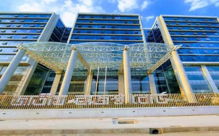 সংশোধিত অধ্যাদেশে এনবিআর বিলুপ্ত করে ২ বিভাগ