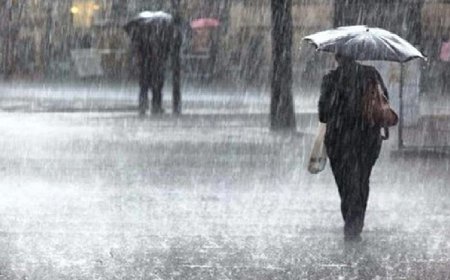 ৭ জেলায় ঝড় ও বজ্রসহ বৃষ্টির আভাস