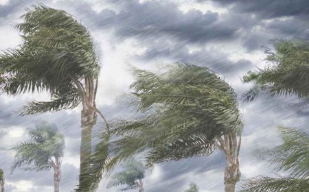সাত জেলায় ঝড়-বজ্রবৃষ্টির আভাস