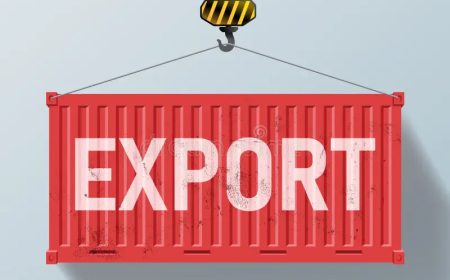 প্রণোদনা সত্ত্বেও বৈচিত্র্য আসেনি রপ্তানি খাতে