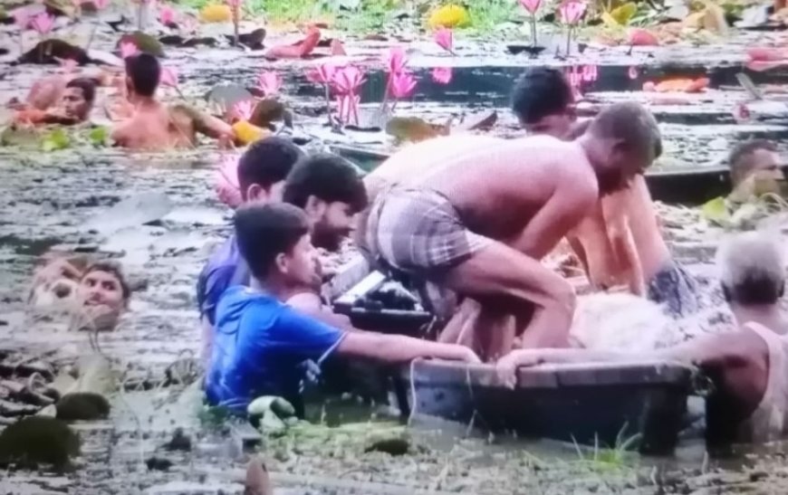 গাজীপুরে বিলে নৌকা ডুবে ২ জনের মৃত্যু