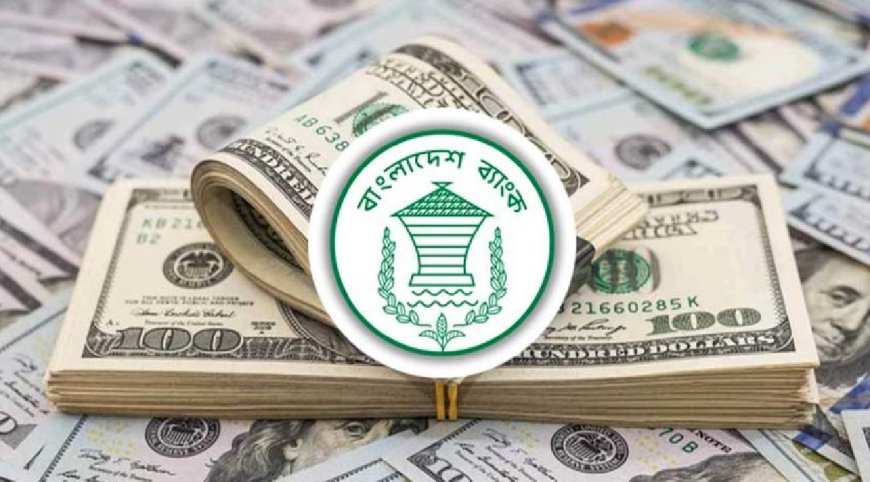 ১২ দিনে এলো ১ বিলিয়ন ডলার রেমিট্যান্স 