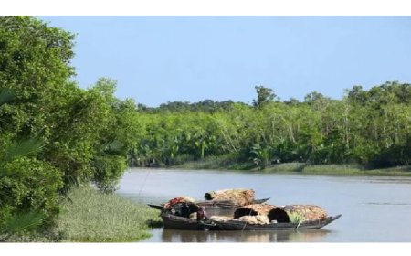পর্যটক ও বনজীবীদের জন্য উন্মুক্ত সুন্দরবন