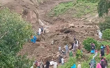 সুদানে ভয়াবহ ভূমিধসে ১ হাজার জনের মৃত্যু