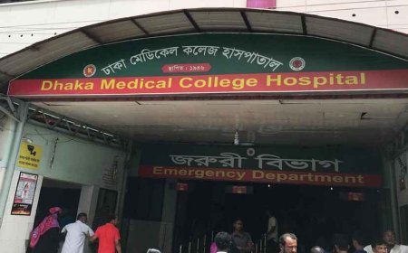 ঢাকায় স্বামীর ছুরিকাঘাতে স্ত্রী নিহত