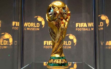 যেভাবে কাটবেন বিশ্বকাপের  টিকিট