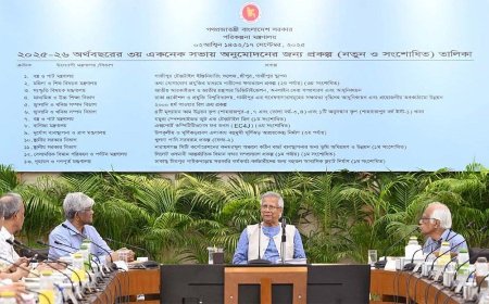 একনেকে ৮৩৩৩ কোটি টাকা ব্যয়ে ১৩ প্রকল্প 