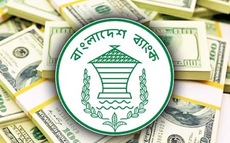 বৈদেশিক ঋণ বেড়ে ১১২ বিলিয়ন ডলার