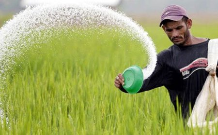 ৪৭২ কোটি টাকায় ৯৫ হাজার টন সার কিনবে সরকার